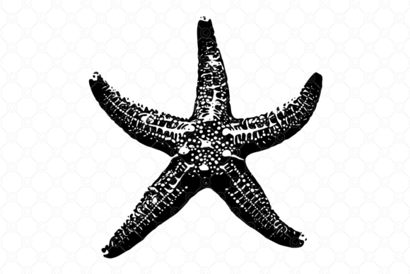 Review: Starfish SVG, Starfish Silhouette, 016 for Embroidery